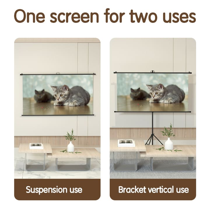 es903 100 inch bracket projector screen company