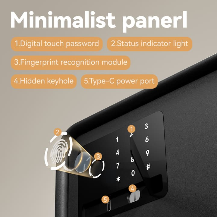 vs4529 bk fingerprint safe china